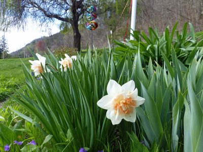 1 May Have a happy May Day