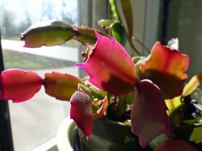 Photos from our life - 2025