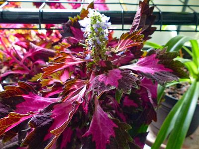 Photos from our life - 2025