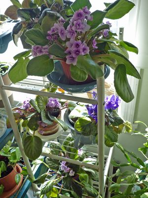 Photos from our life - 2025