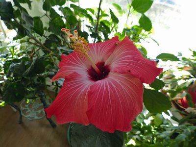 Photos from our life - 2025