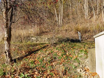 Photos from our life - 2025