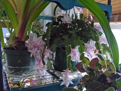 Photos from our life - 2025