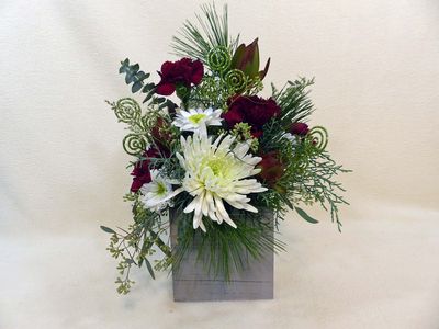 Photos from our life - 2025