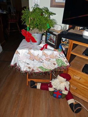 Photos from our life - 2025