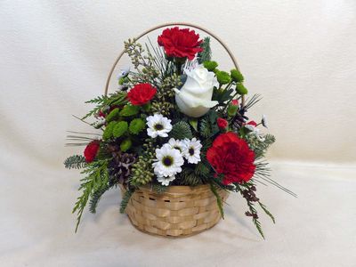 Photos from our life - 2025