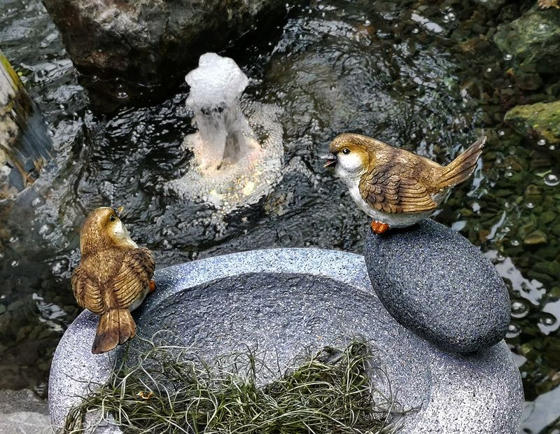 Mini fountain and bird sculptures in a conservatory