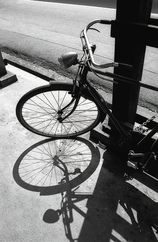 An Old Bicycle