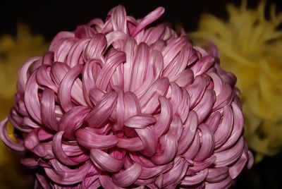 g13/25/480025/3/173531094.2535f943.JPEG
