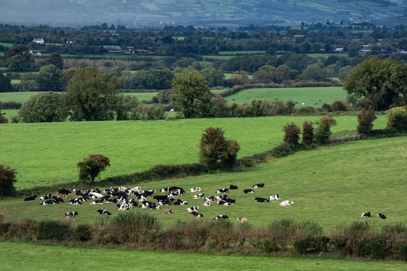 128 Ireland September 26, 2023.jpg