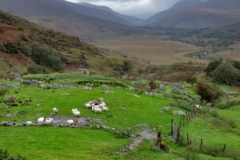 173 Ireland September 28, 2023.jpg