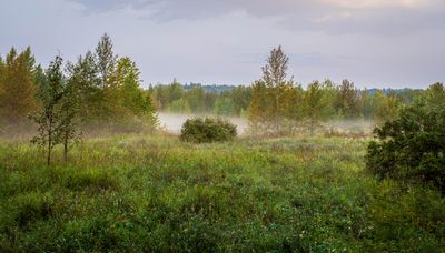 Small Landscapes