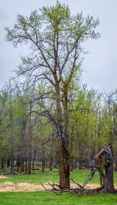 Wilderness Areas