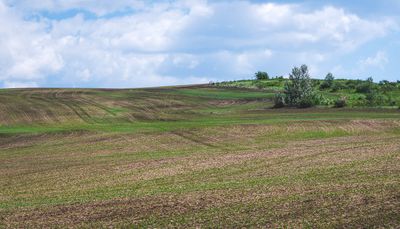 Alberta