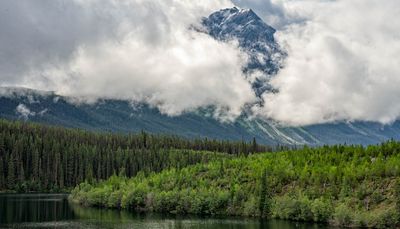 Jasper