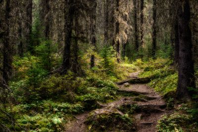 Small Landscapes