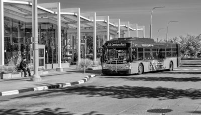Public Transportation