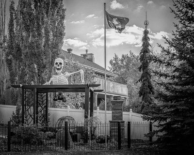 Go Everywhere Camera