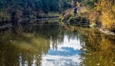 People I Meet Along the Way