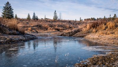 Go Everywhere Camera