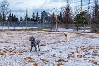 Go Everywhere Camera