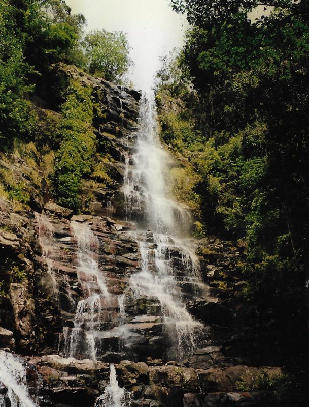 More scenes from Angel Falls