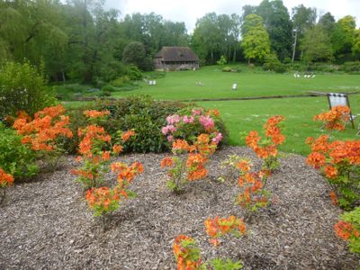 Flower display on pavilion lawn