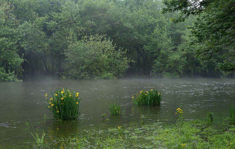 DSCF5849.jpg