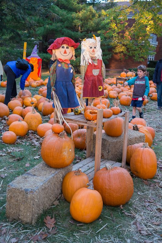 DSCF6917.jpg