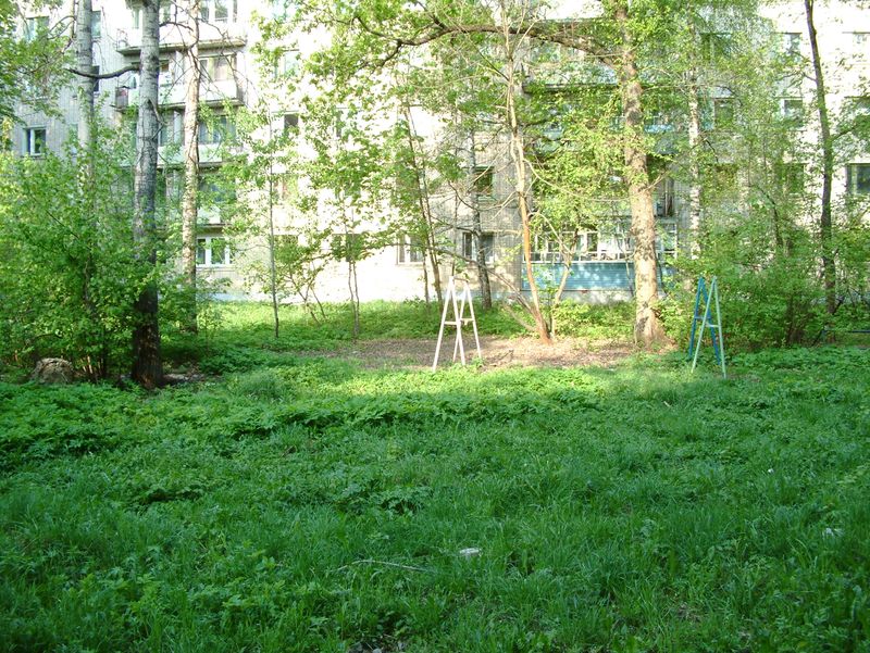 Kurchatova30-Backyard.JPG