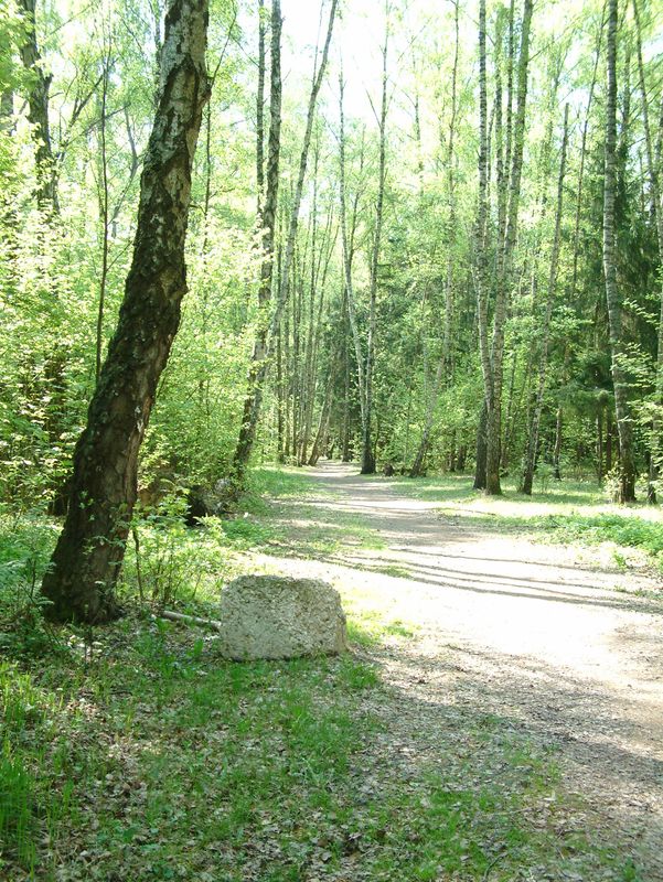 StoneOnTheRoad2.JPG
