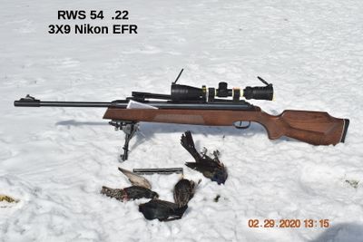 RWS 54 22 cal - starlings.jpg