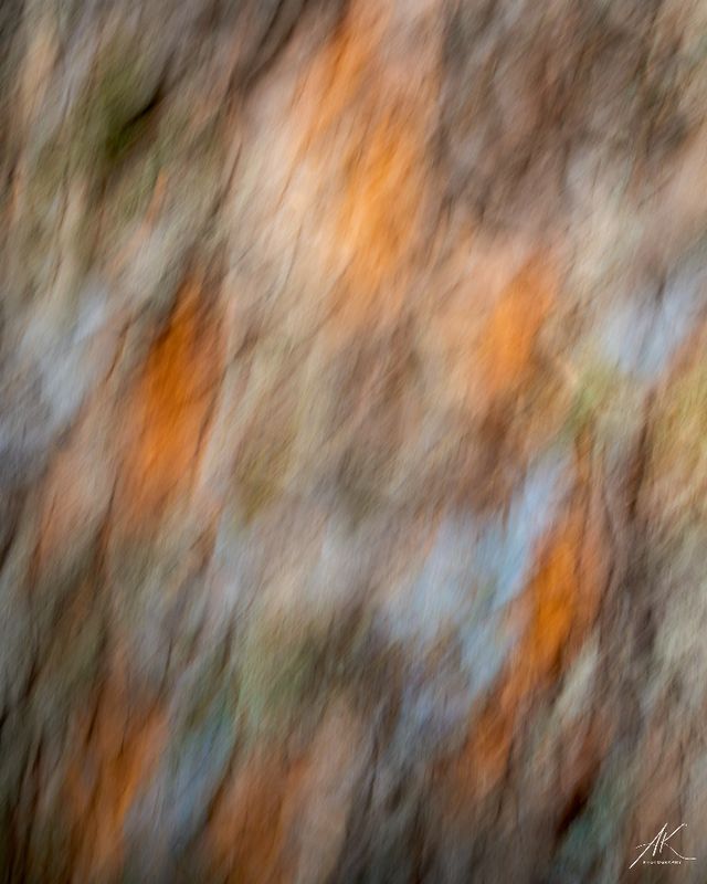 041022-037.jpg