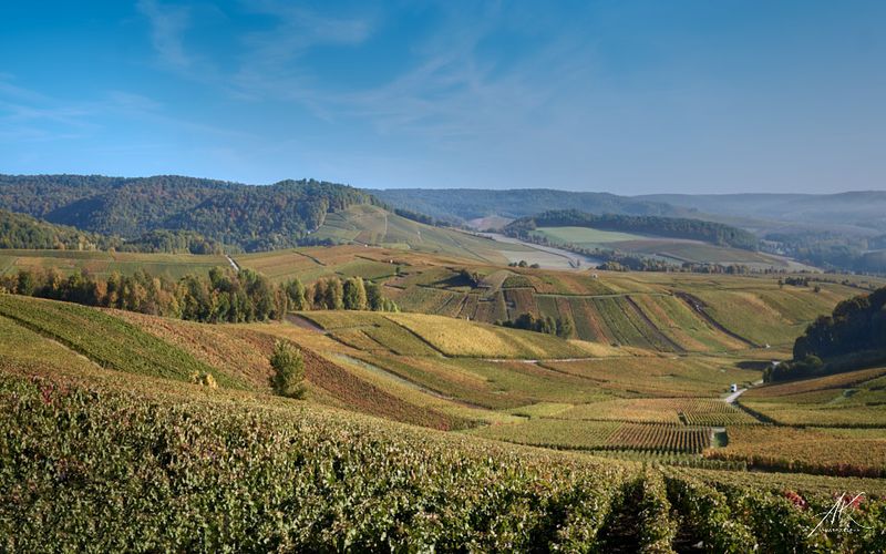 071022-046.jpg