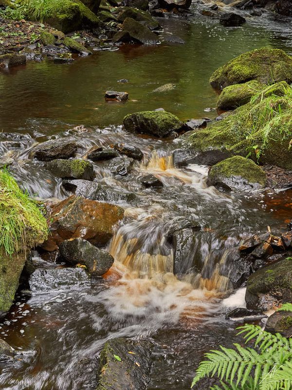 Stream