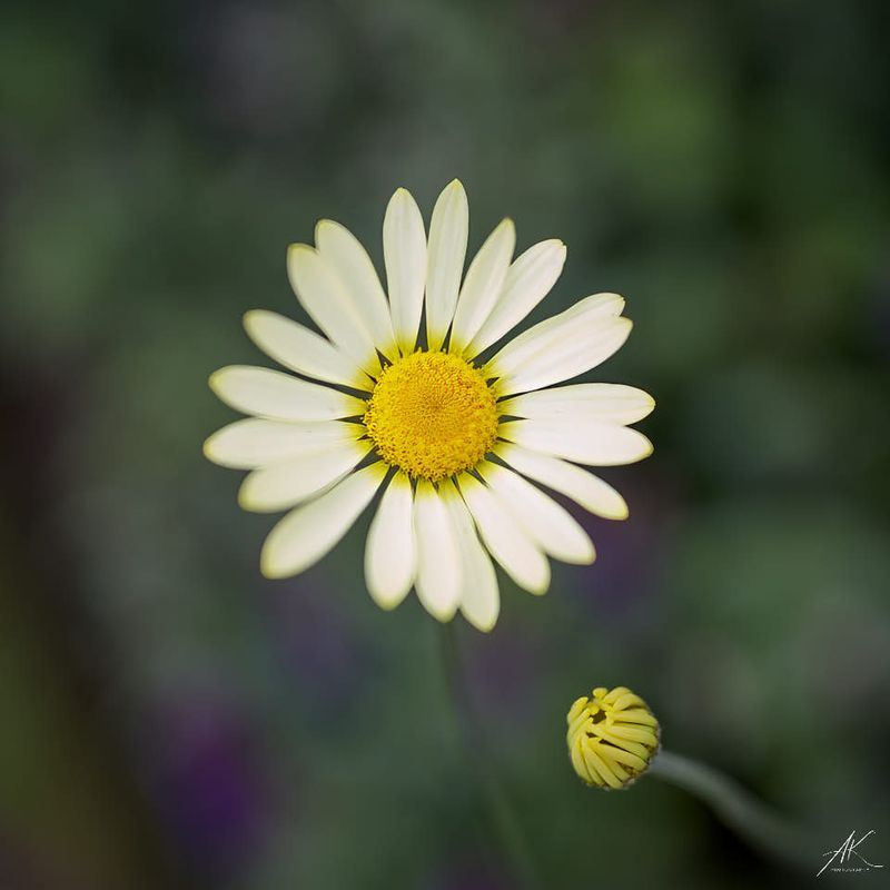 160823-228.jpg
