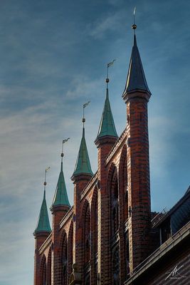 101022-055.jpg