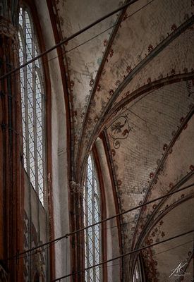 101022-061.jpg