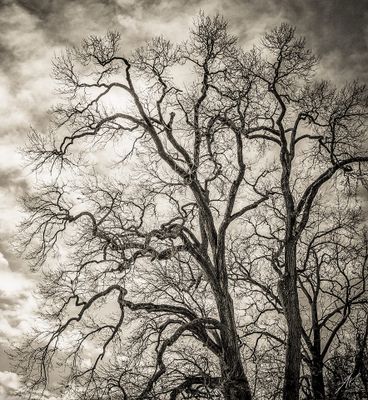 201223-065.jpg