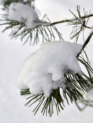 051223-118.jpg