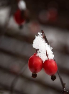051223-119.jpg