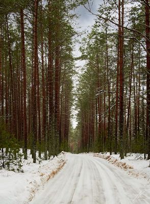 221223-082.jpg