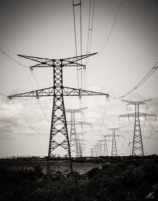 Provence-Alpes-Côte d'Azur