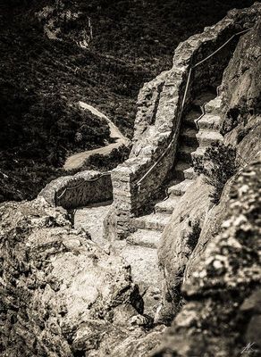 Provence-Alpes-Côte d'Azur