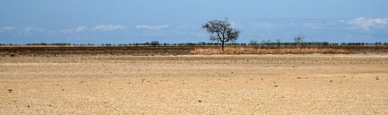 salted Karumba plain