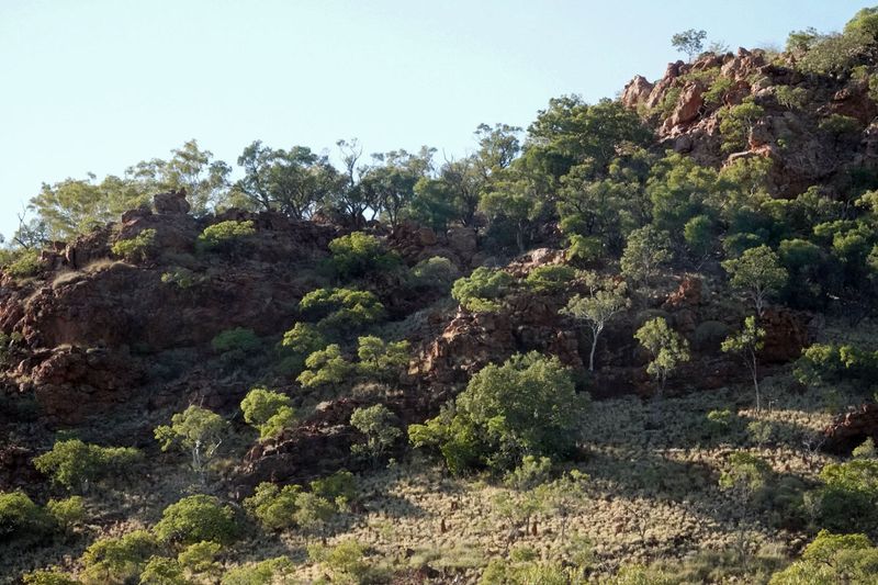 Mitakoodi Gorge