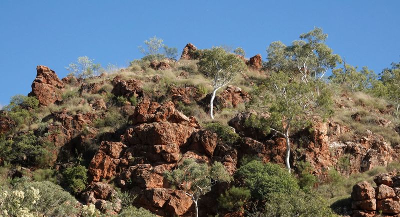 Mitakoodi Gorge