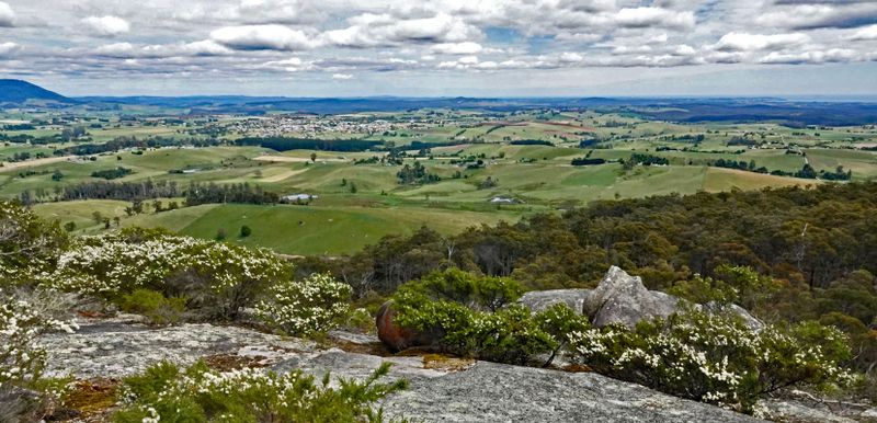 view from Mt Stronach