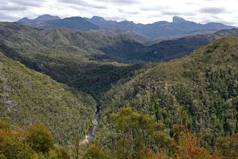 willderness landscape