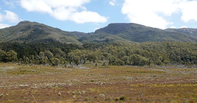 wild landscape